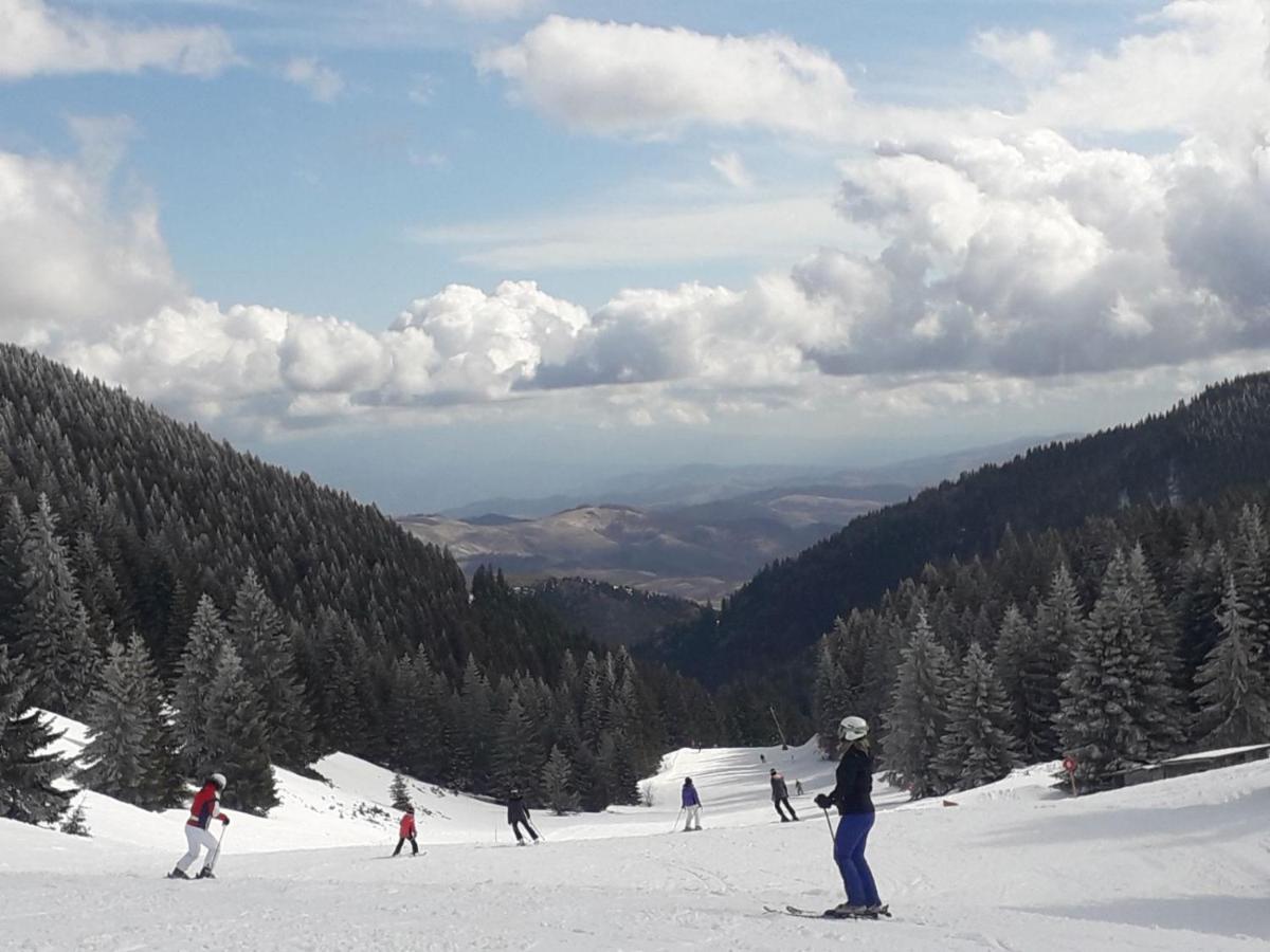 Milmari S30 Daire Kopaonik Dış mekan fotoğraf