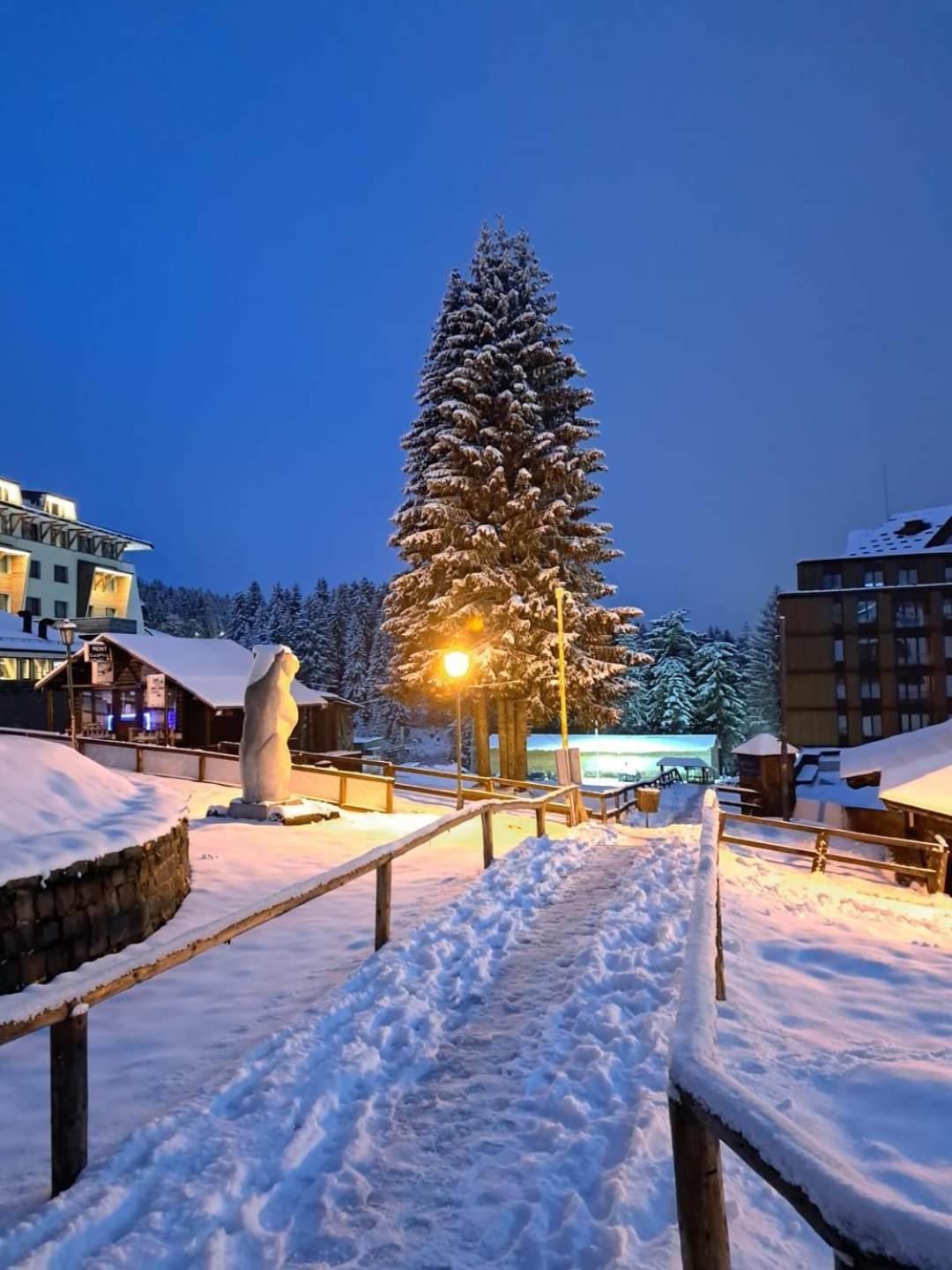 Milmari S30 Daire Kopaonik Dış mekan fotoğraf